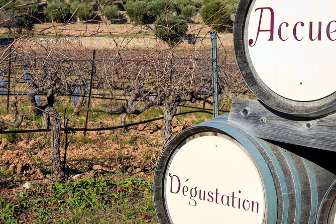 Provence - Mont Sainte Victoire in Search of Cézanne Private Wine Tour - Exploring Domaine Terre De Mistral