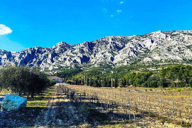 Provence - Mont Sainte Victoire in Search of Cézanne Private Wine Tour - Traditional Provençale Lunch in Puyloubier