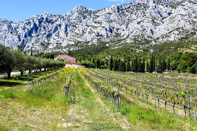 Provence - Mont Sainte Victoire in Search of Cézanne Private Wine Tour - Immersive Local Guiding Experience