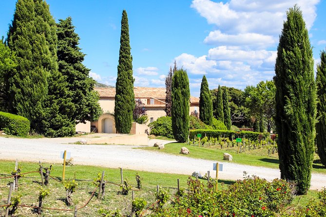 Provence - Mont Sainte Victoire in Search of Cézanne Private Wine Tour - Pickup and Transportation Details