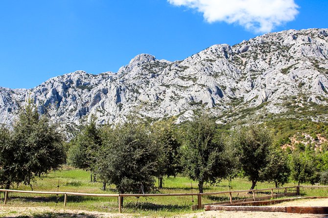 Provence - Mont Sainte Victoire in Search of Cézanne Private Wine Tour - Booking and Inquiry