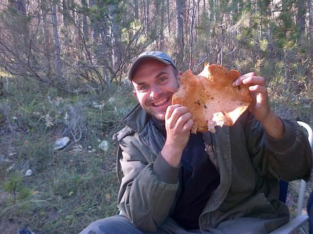 Provence: Mushroom Hunting With Outdoor Breakfast - Savoring Provences Outdoor Breakfast