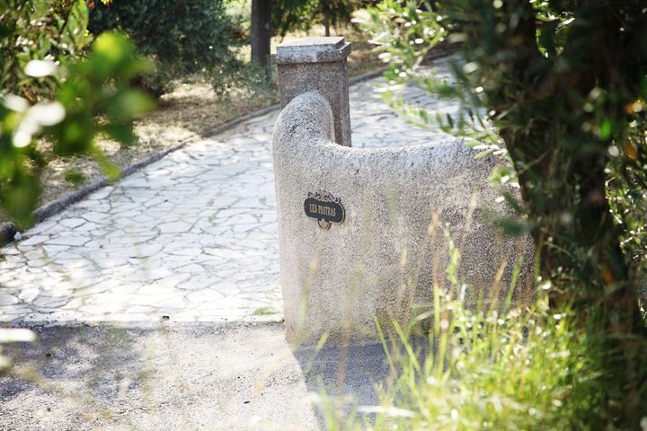Provence Olive Harvest - Refreshments Served