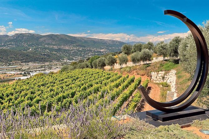 Provence Organic Wine Small Group Half Day Tour With Tastings From Nice - French Winemaking and Classifications