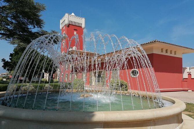 Provence Organic Wine Small Group Half Day Tour With Tastings From Nice - Regional Specialties and Delicacies