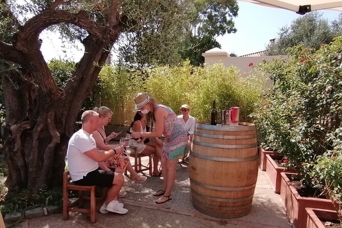Provence Organic Wine Small Group Half Day Tour With Tastings From Nice - Inclusions and Exclusions