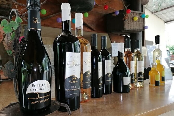 Provence Organic Wine Small Group Half Day Tour With Tastings From Nice - Meeting and End Point