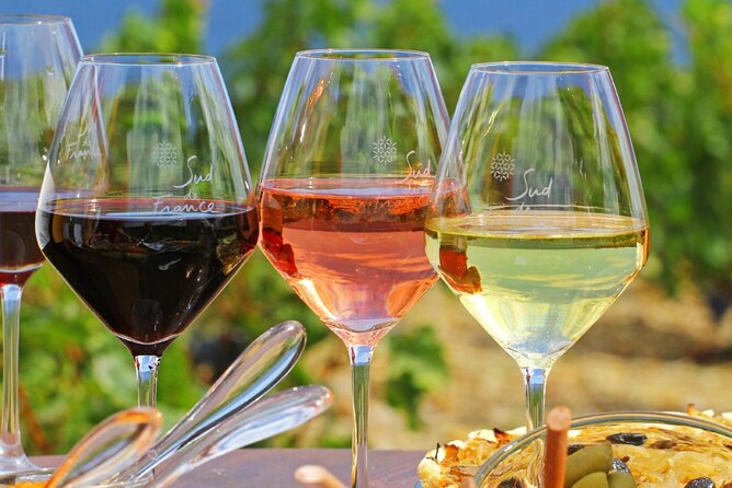 Provence Organic Wine Tasting Half Day Tour From Nice - Tour Activities