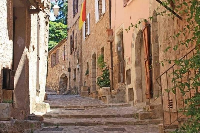 Provence Private Full Day Wine Tour With Wine Tasting - Personalized Experience