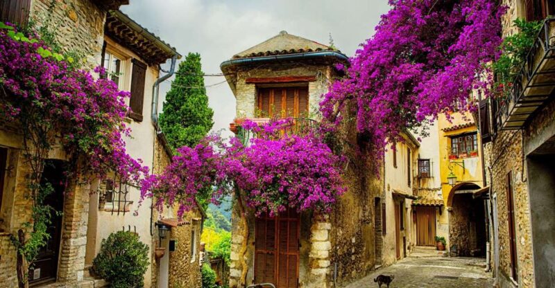 Provence Private Tour: Aix-En-Provence, (Marseille) & Cassis - Itinerary and Activities