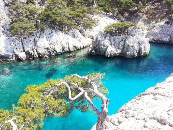Provence Private Tour: Aix-En-Provence, (Marseille) & Cassis - Why Choose This Provence Private Tour?