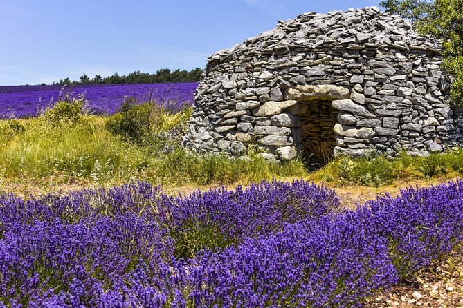 Provence Shared Half Day Lavender Tour From Aix En Provence - Inclusions and Exclusions