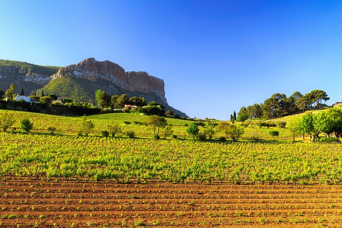 Provence Small Group Wine Full Day Tour in Chateauneuf Du Pape Vineyard From Aix - Booking Information