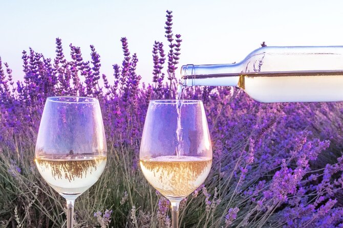 Provence Small Group Wine Full Day Tour in Chateauneuf Du Pape Vineyard From Aix - Vineyard Exploration