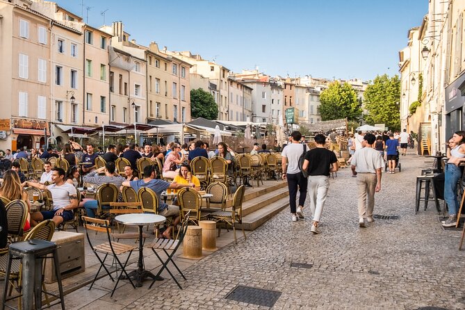Provence, Vineyards & Lavender Fields Private Day Trip - Seasonal Highlights