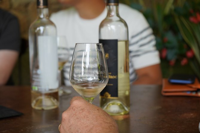 Provence Wine Small Group Day Tour From Nice With Tastings & Lunch - Winery Visits