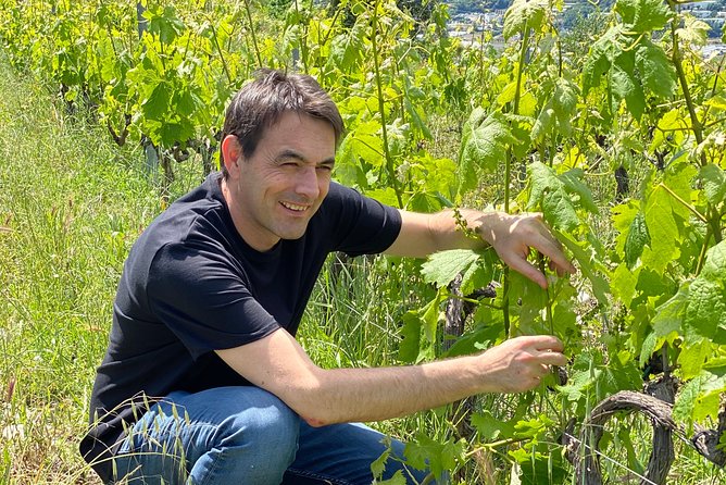 Provence Wine Small Group Day Tour From Nice With Tastings & Lunch - Tasting Experiences