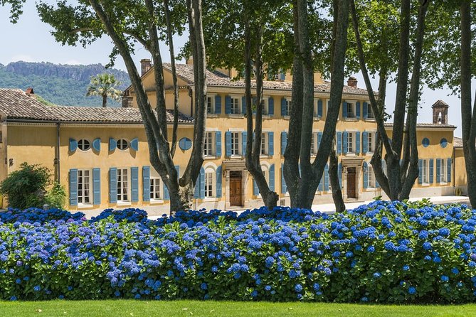 Provence Wine Small Group Day Tour From Nice With Tastings & Lunch - Lunch and Cuisine