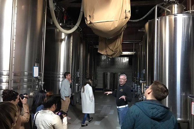 Provence Wine Small Group Day Tour From Nice With Tastings & Lunch - Group Size and Accessibility