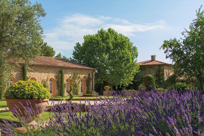 Provence Wine Tour - Private Day Tour From Cannes - Renowned Tour Guides