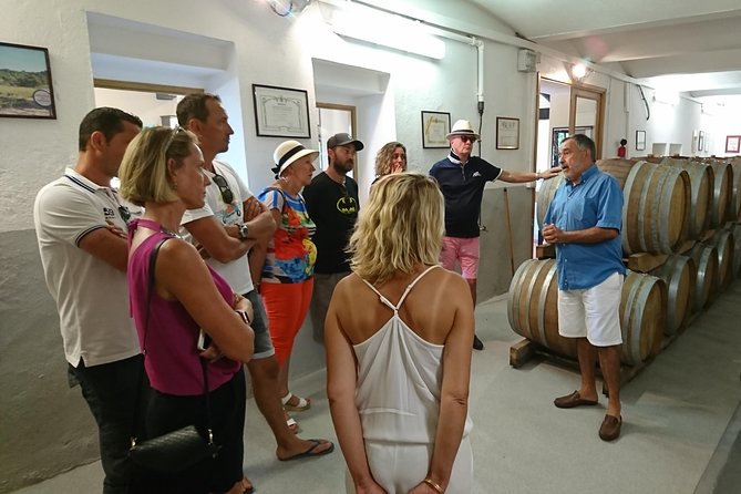 Provence Wine Tour - Private Day Tour From Nice - Highly Recommended by Past Travelers