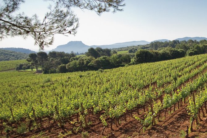 Provence Wine Tour - Private Day Tour From Nice - Reviews and Badge of Excellence