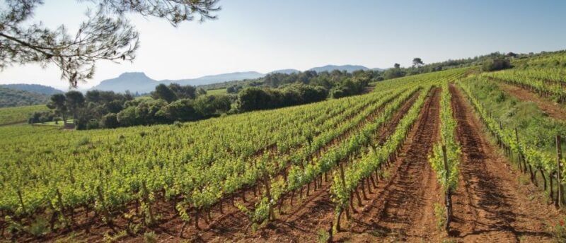 Provence Wine Tour - Private Tour From Nice - Just The Basics