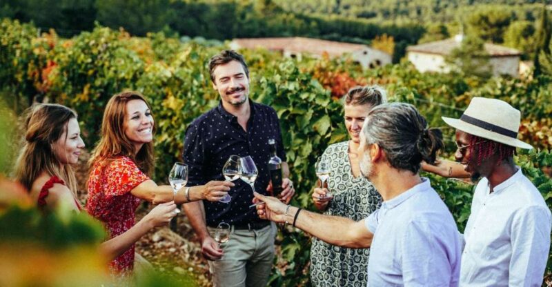 Provence Wine Tour - Private Tour From Nice - Cru Classé Estate