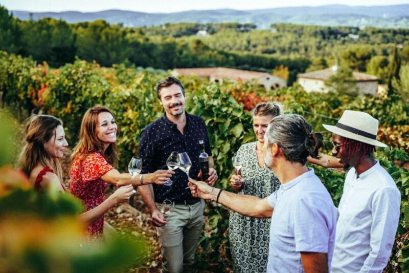 Provence Wine Tour - Private Tour From Nice - Fine Wines and Local Art