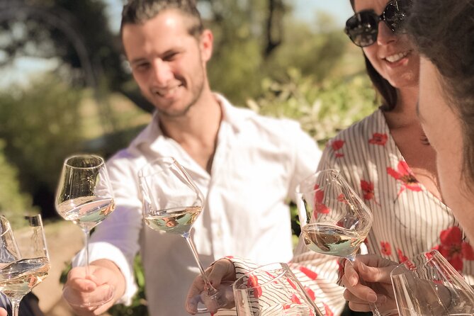 Provence Wine Tour - Small Group Tour From Cannes - Culinary Experiences on the Tour