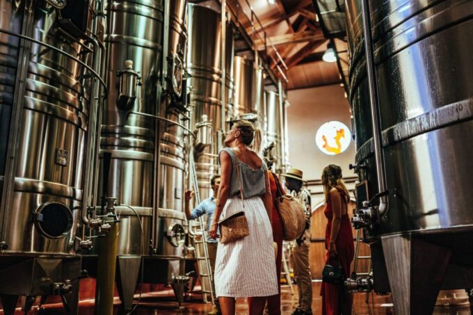 Provence Wine Tour - Small Group Tour From Cannes - Provencal Wine Culture