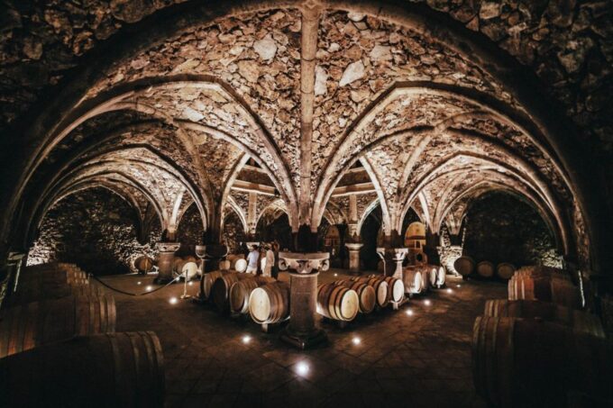 Provence Wine Tour - Small Group Tour From Cannes - Winery and Tasting