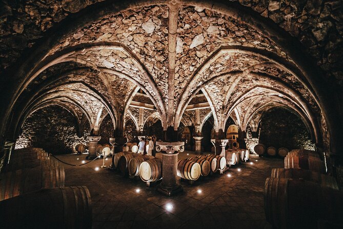 Provence Wine Tour - Small Group Tour From Nice - Tour Reviews and Ratings