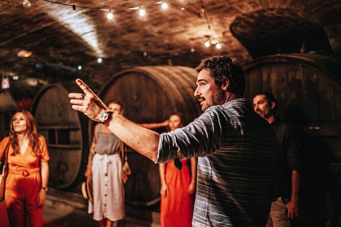 Provence Wine Tour - Small Group Tour From Nice - Group Size and Accessibility