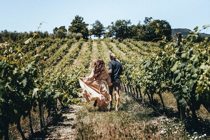 Provence Wine Tour - Small Group Tour From Nice - Cancellation Policy