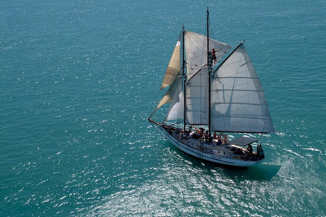 Providence Whitehaven Beach Sailing and Snorkeling Cruise - Important Information