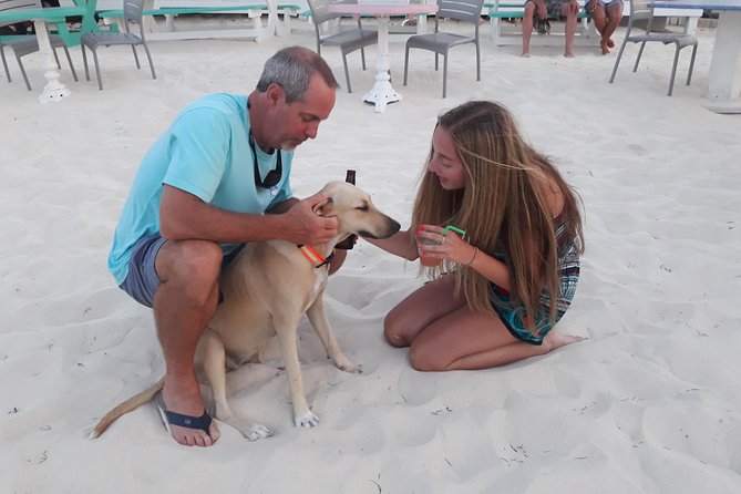 Providenciales Group Island Tour - Booking and Accessibility Information