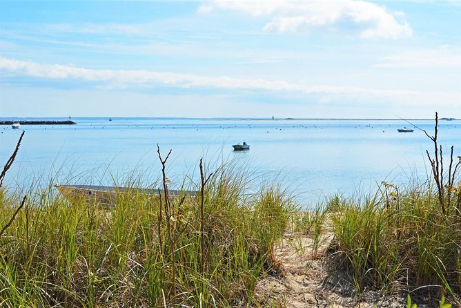 Provincetown & Cape Cod High Speed Ferry To/From Boston - Accessibility Features