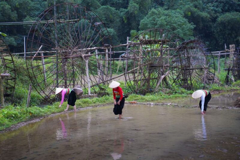 Pu Luong 2 Days 1 Night - Trekking, Cloud Hunting - Itinerary: Day 1