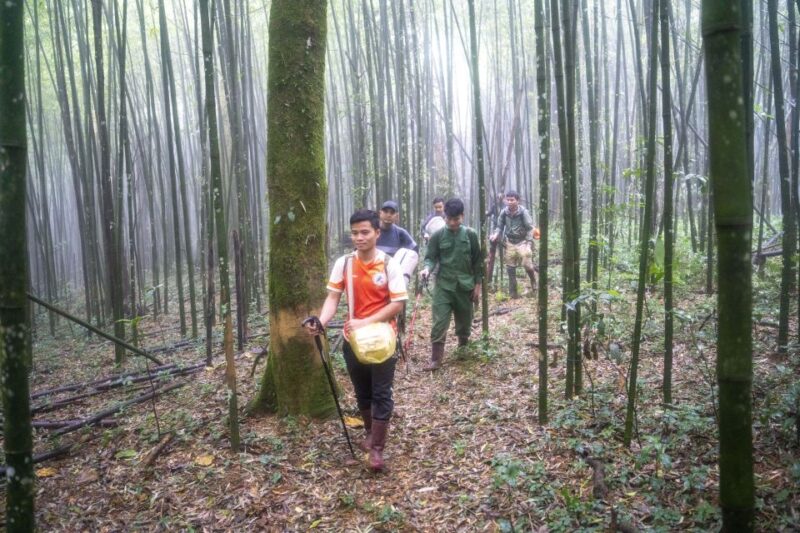 Pu Luong 2 Days 1 Night - Trekking, Cloud Hunting - Bamboo Forest Campsite