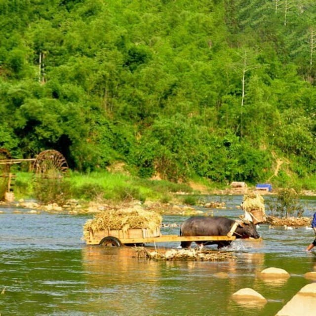 Pu Luong 2 Days 1 Nights - Offbeat Trekking Tour - Guidance and Transfers