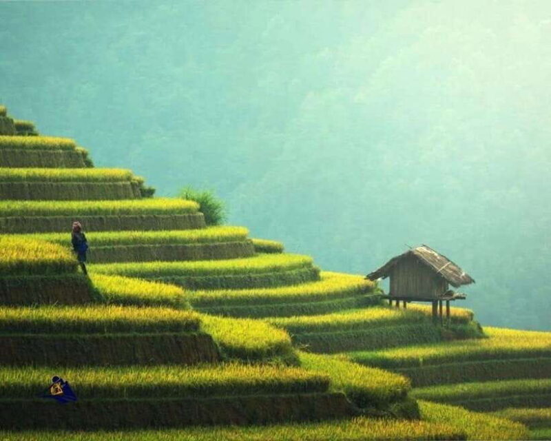 PU LUONG CLASSIC TOUR 2 DAY 1 NIGHT FROM HANOI - Day 2 Itinerary: Pu Luong to Hanoi