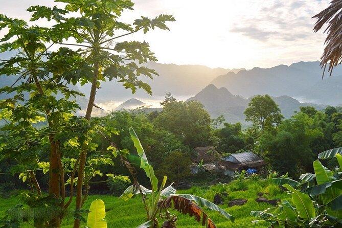 Pu Luong & Ninh Binh 3 Days Group Tour From Hanoi Old Quarter - Guest Experiences