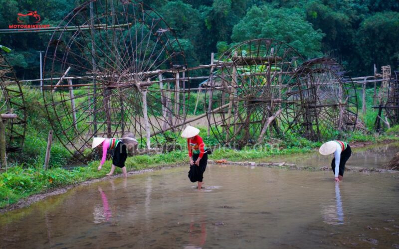 Pu Luong Trekking Tour Price 3 Days 2 Nights - Day 1 Itinerary