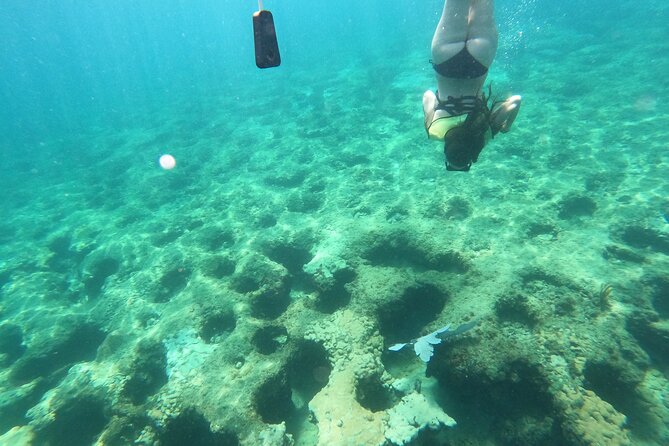 Public Guided Snorkel Tour of Fort Lauderdale Reefs - Booking Considerations