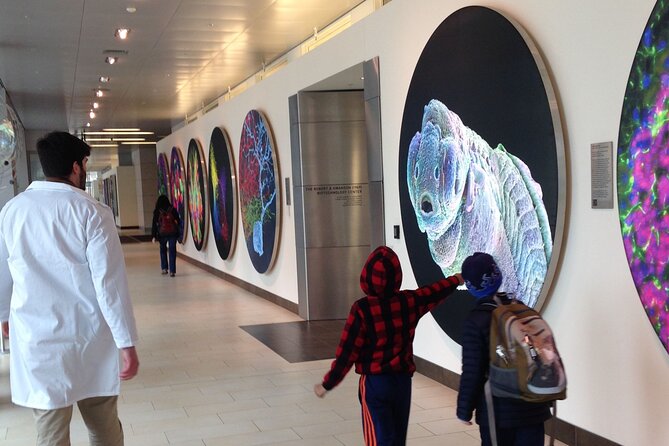 Public Innovation Trail Tour in Cambridge - Transportation and Private Access