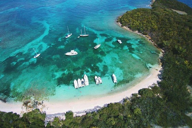 Public or Private Boat Trip to Icacos & Palomino - Starting with Convenience and Comfort