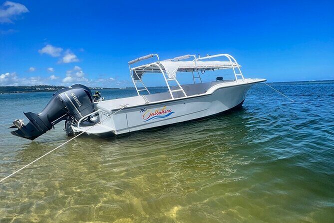 Public or Private Boat Trip to Icacos & Palomino - The Itinerary: A Closer Look