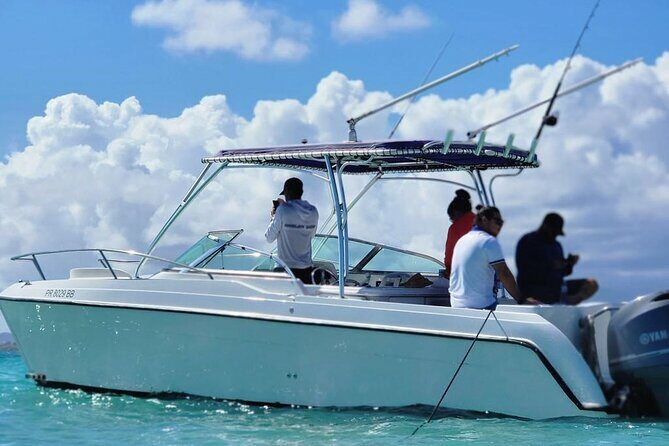 Public or Private Boat Trip to Icacos & Palomino - The Service and Atmosphere