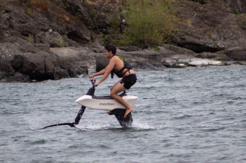 Pucón, Chile: Tour the Lake on a Water Bike, SL3 - Key Points